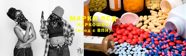 индика Козельск