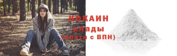 a pvp Краснослободск