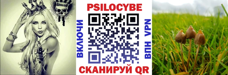 хочу наркоту  нарко площадка клад  Псилоцибиновые грибы GOLDEN TEACHER  Кондрово 